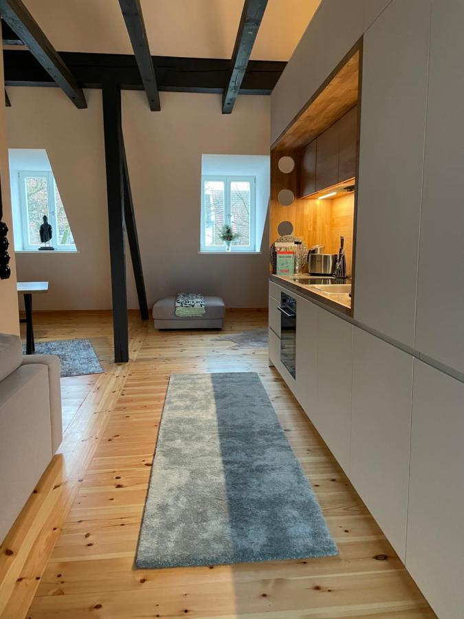 Voh Super Exklusives Loft, Zentral, Smart-Tv, Parkplatz Lejlighed Vohenstrauss Eksteriør billede